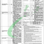 Rawalpindi Institute of Cardiology Jobs 2025 RIC Latest Advertisement RIC Job Ad