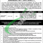 CBD Punjab Jobs