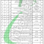 SMBB Trauma Centre Karachi Jobs