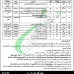 Social Welfare and Bait-Ul-Maal Punjab Jobs