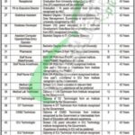 Health Department Balochistan Jobs