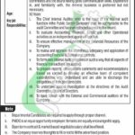 Pakistan Mineral Development Corporation Jobs