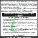 Public Private Partnership Authority Jobs