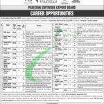 PSEB Jobs