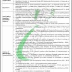 NBP Jobs
