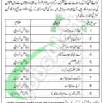 First Women Bank Jobs