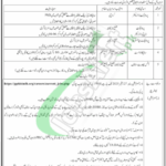 PPHI Careers