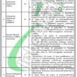 Board of Revenue Punjab Jobs