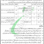 Fisheries Department Punjab Jobs