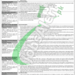 PPCBL Jobs