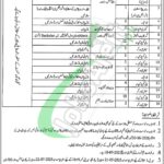 Tourism Archaeology and Museum Department Punjab Jobs