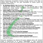 WECHS Lahore Jobs