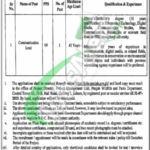 Punjab Wildlife & Parks Department Jobs