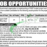 SMEDA Jobs