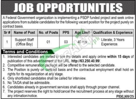SMEDA Jobs