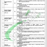 PMDFC Punjab Jobs