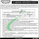 Board of Revenue Punjab Jobs