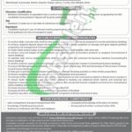 NBP Jobs