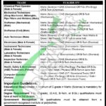 Engro Fertilizer Apprenticeship