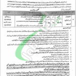 District Health Authority Rawalpindi Jobs