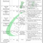 Board of Investment Jobs