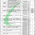 Fisheries Department Punjab Jobs