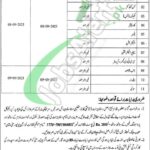 www.wum.edu.pk
