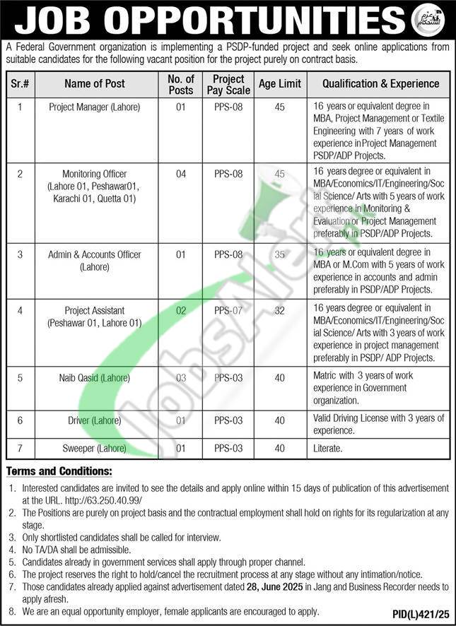 SMEDA Jobs