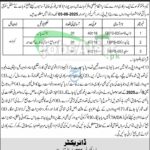 PO Box 735 Peshawar Jobs