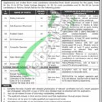 Cadet College Sanghar Jobs 2025