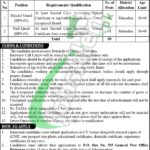 Minerals Development Department KPK Jobs