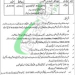 Social Welfare and Bait-Ul-Maal Punjab Jobs