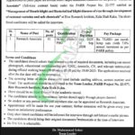 Punjab Agriculture Research Board Jobs