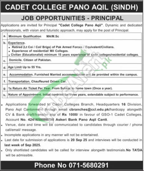 Cadet College Pano Aqil Jobs