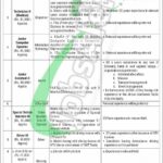 www.careerjobs2381.com.pk