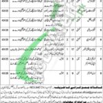 Girls Cadet College Turbat Jobs