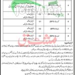 www.pedokp.gov.pk