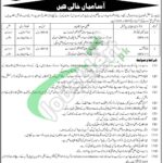 Session Court Haripur Jobs