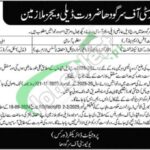 Sargodha University Jobs