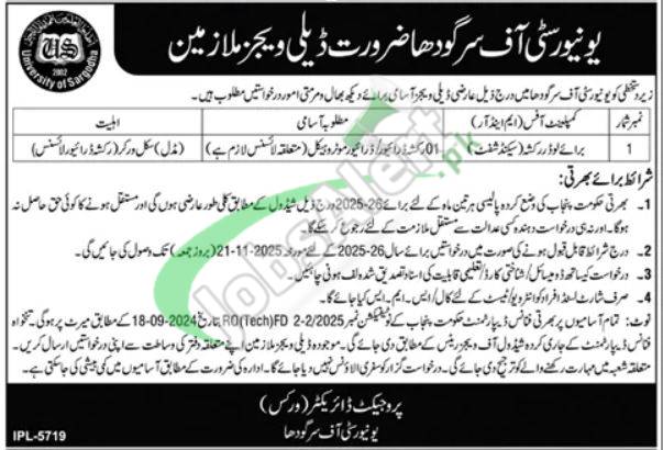 Sargodha University Jobs 2025 Online Application Form Download su.edu.pk Sargodha University Jobs