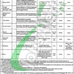 Punjab Masstransit Authority Jobs