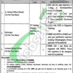 Punjab University Careers