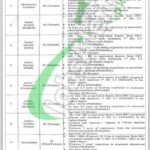 Cantt Public Primary School Jobs