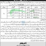 PO Box 735 University of Peshawar Jobs