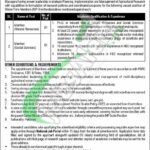 MNFSR Jobs