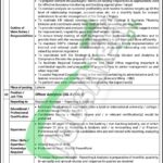 NBP Jobs