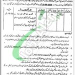 Social Welfare and Bait-Ul-Maal Punjab Jobs