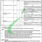 Walled City lahore Jobs