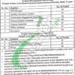 Board of Revenue Punjab Jobs