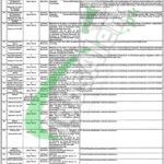 PEF Jobs